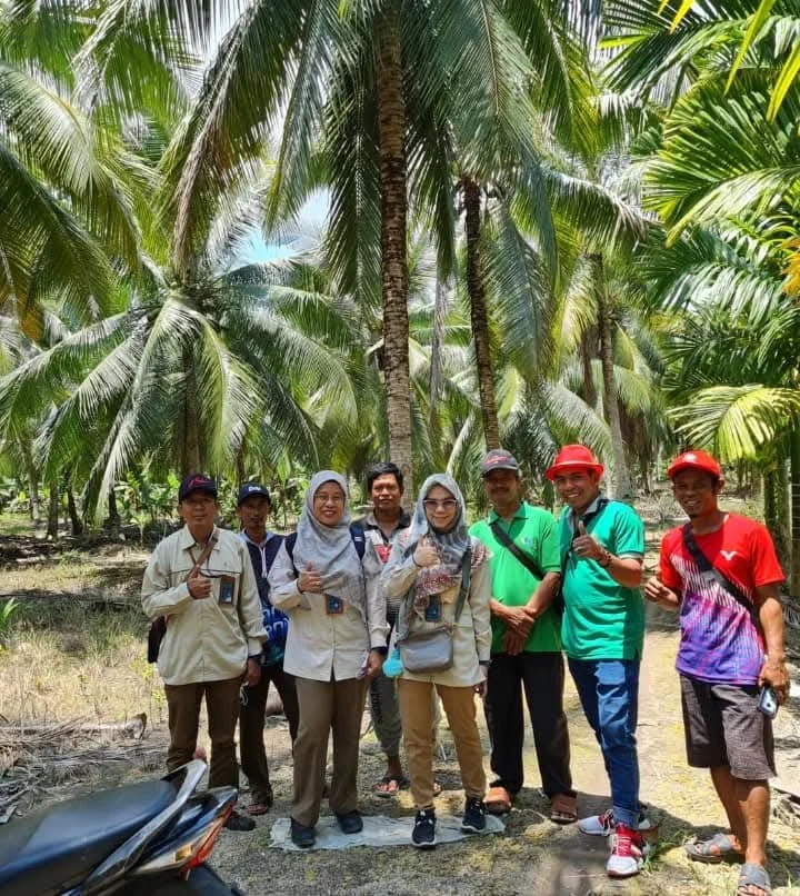 Dokumentasi kunjungan dan kegiatan di kebun kelapa