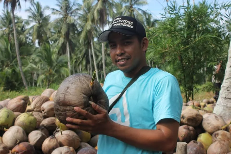 Hasil panen komoditas kelapa